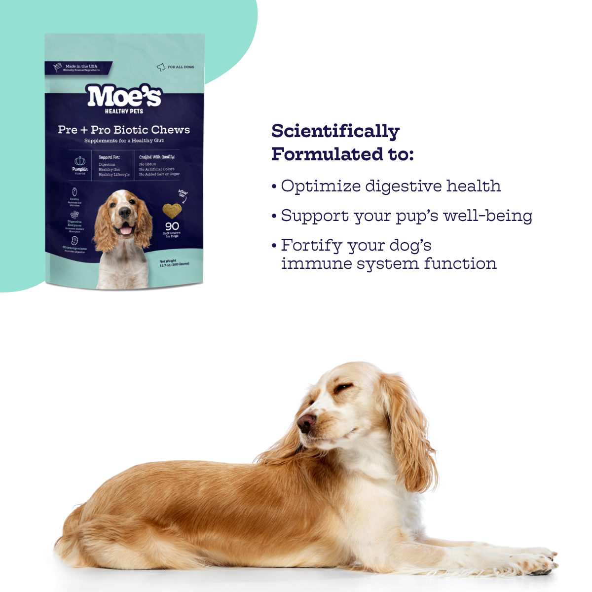 Pre + Pro Biotic Chews (60 chews per product)