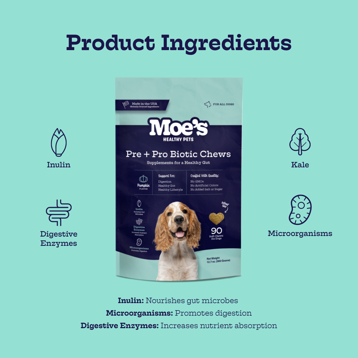 Pre + Pro Biotic Chews (60 chews per product)