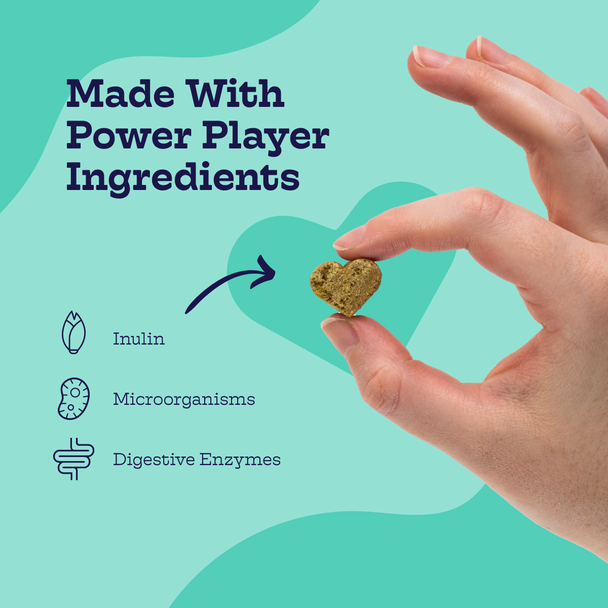 Pre + Pro Biotic Chews (60 chews per product) - Whisker House