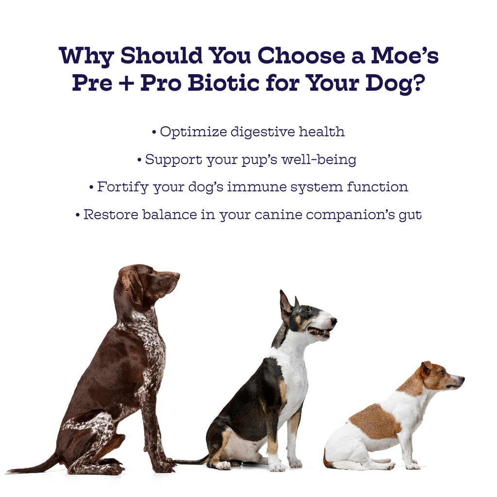 Pre + Pro Biotic Chews (60 chews per product) - Whisker House