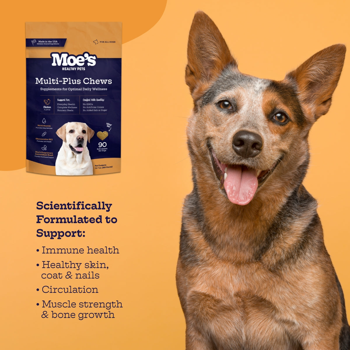Multi-Plus Chews (60 chews per product) - Whisker House