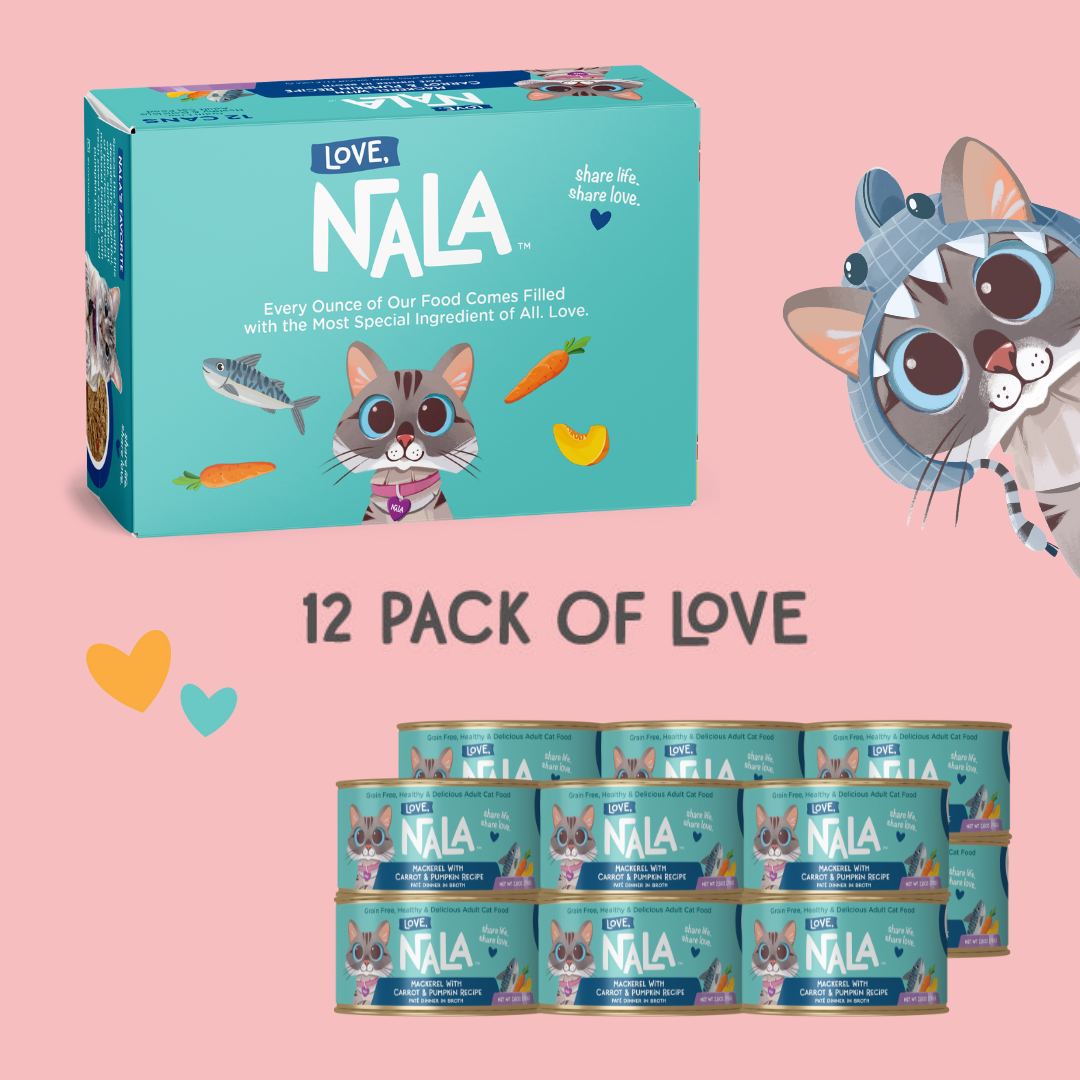 cans of cat food with pink background