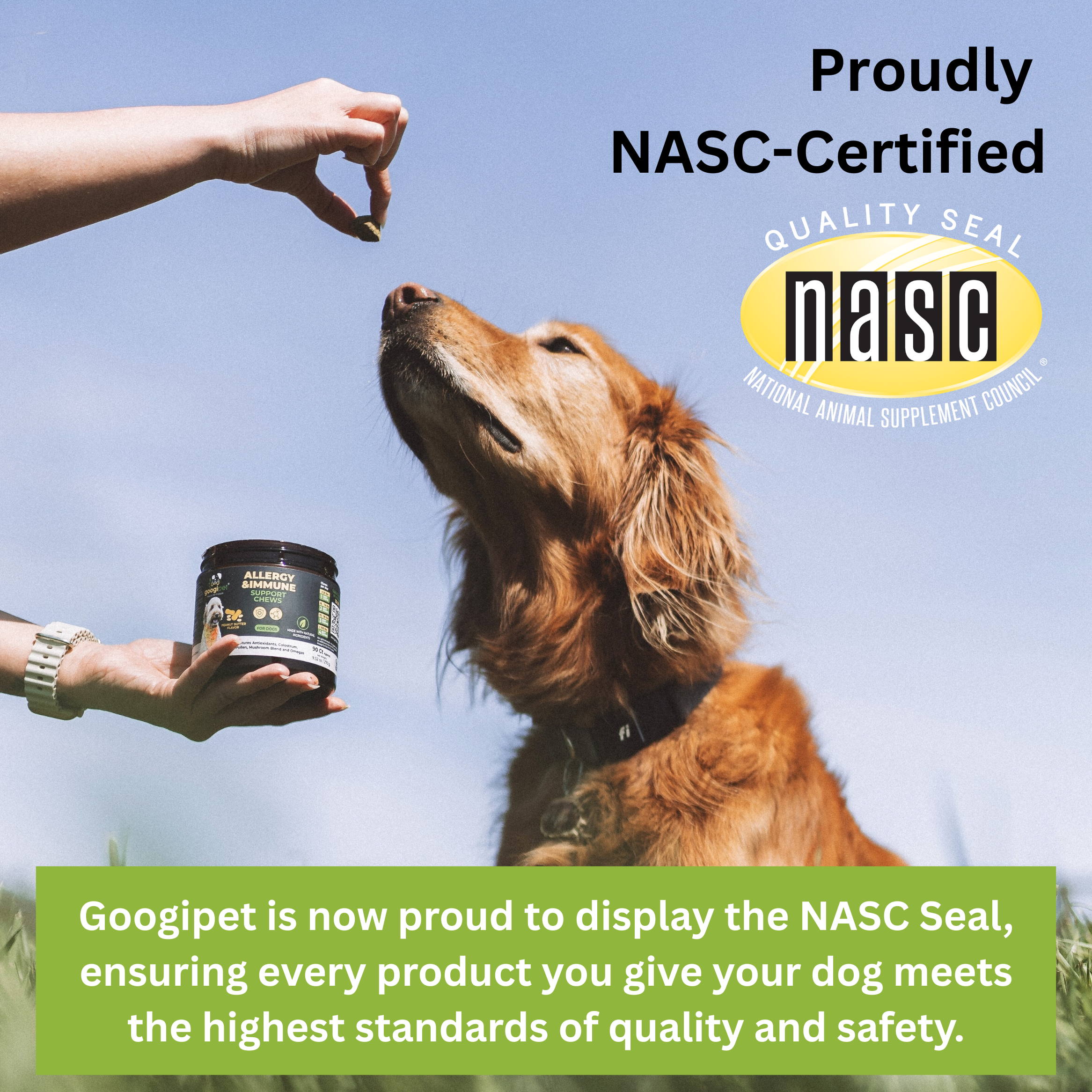Dog looking up at a hand holding a container with NASC certification text and logo.