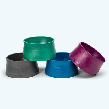 Four colorful dog bowls in green, blue, gray, and purple on a white background