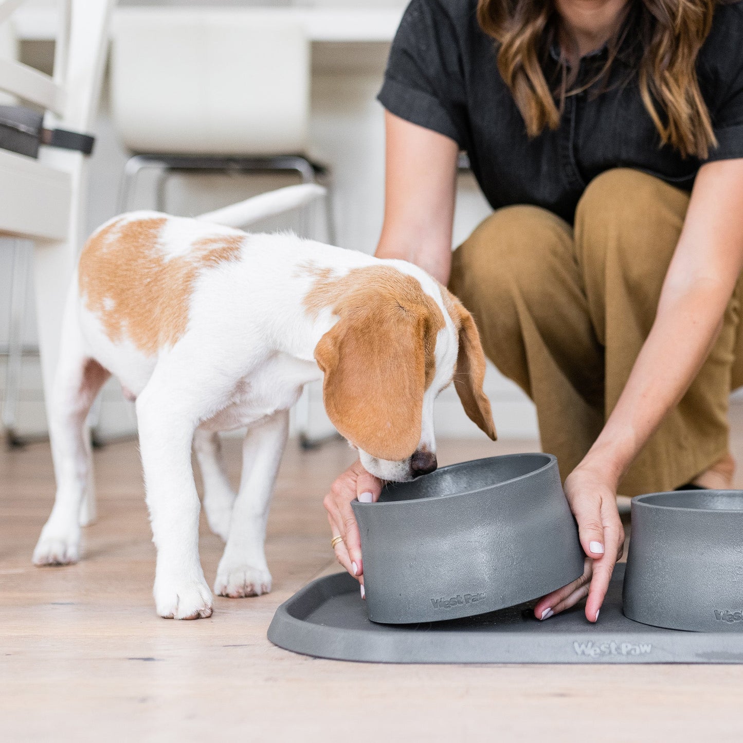Person setting up a pet feeding station with a dog drinking from a bowl.