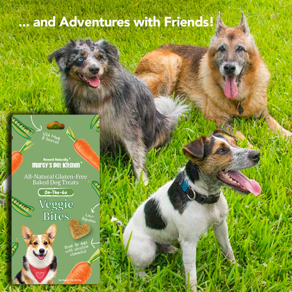 Vegan Veggie Dog Biscuits – Marcy’s Pet Kitchen | Whisker House - Whisker House