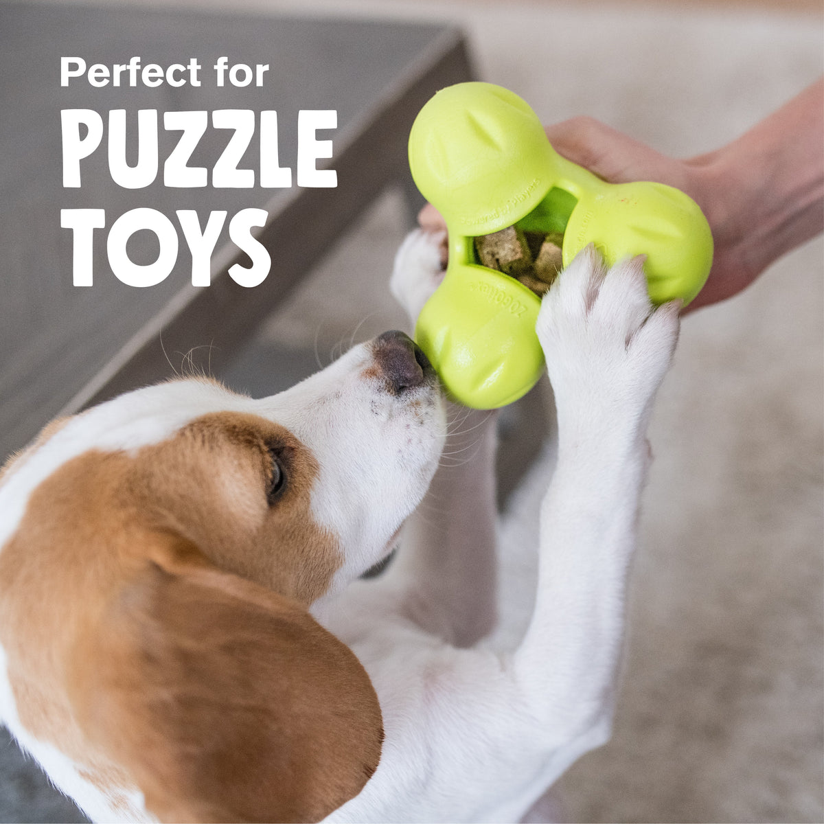 Dog playing with a green puzzle toy, text 'Perfect for Puzzle Toys' above.
