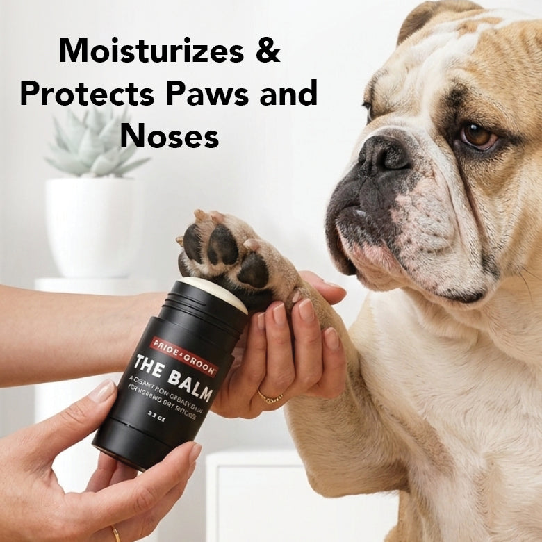 Dog being moisturized with a balm labeled 'The Balm' by Pride & Groove, with text indicating it moisturizes and protects paws and noses.