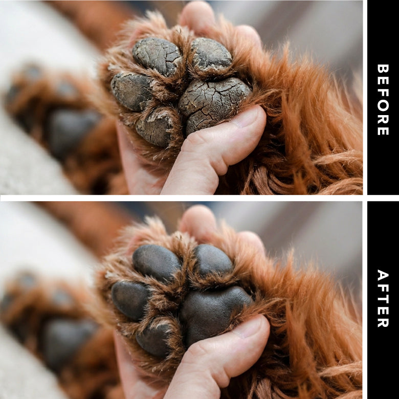 Before and after comparison of a dog's paw being held, showing a cleaner condition.