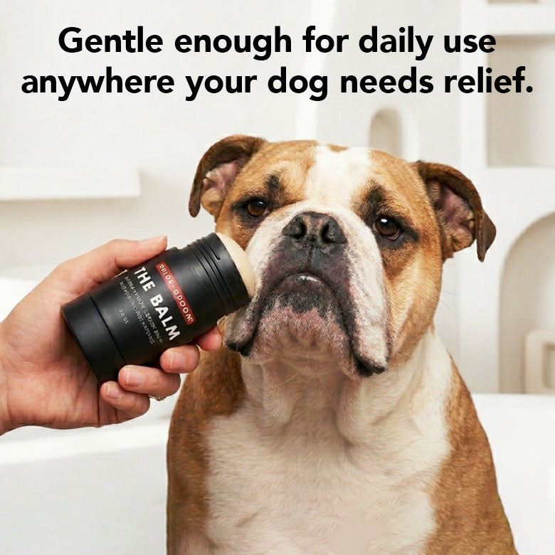 Dog with a bottle labeled 'The Balm' with text about daily use.