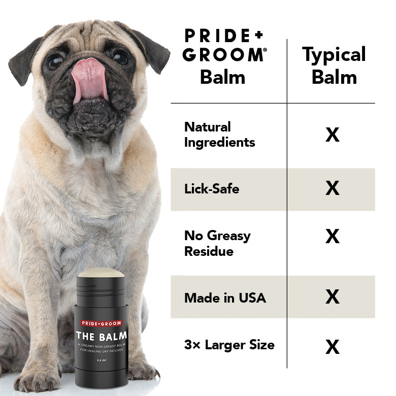 Pug sitting next to a Pride & Groom balm container with a comparison chart on a white background.