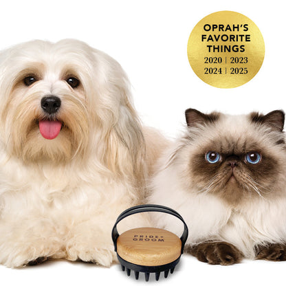 Dog and cat with a grooming tool, featuring Oprah's Favorite Things logo.