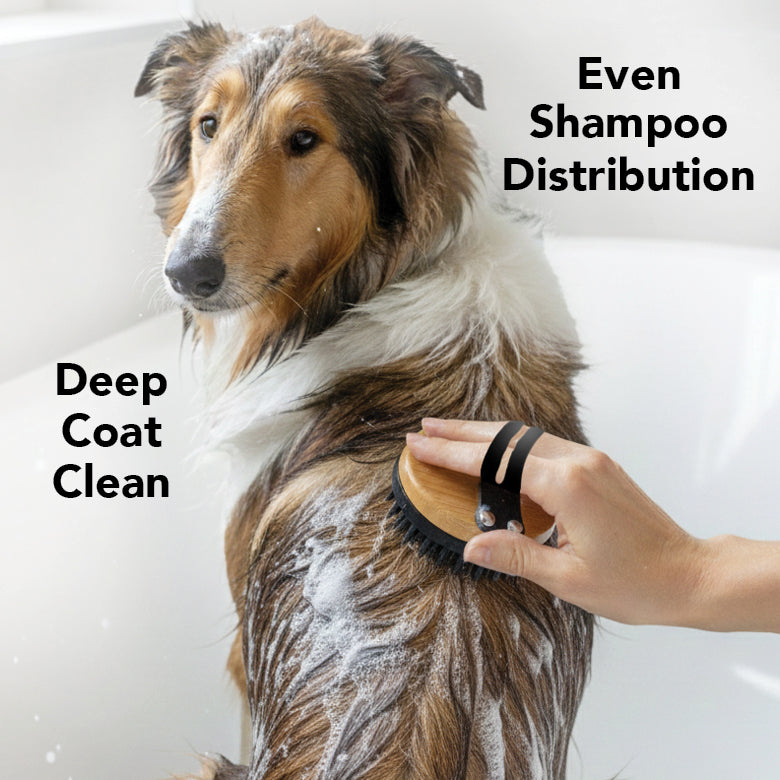 Dog being bathed with a brush and soap, with text indicating 'Even Shampoo Distribution' and 'Deep Coat Clean'.