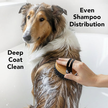 Dog being bathed with a brush and soap, with text indicating 'Even Shampoo Distribution' and 'Deep Coat Clean'.