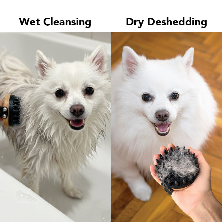 Two images showing a dog being wet cleansed on the left and dry deshedding on the right.