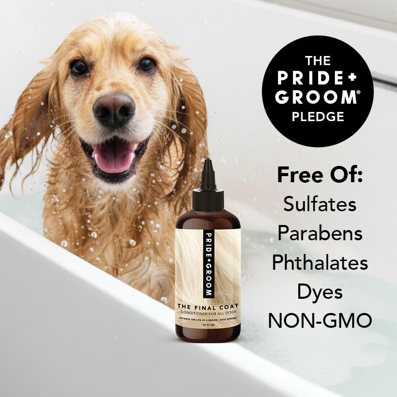 Dog in a bath with a bottle of Pride Groom product, featuring the brand's pledge.