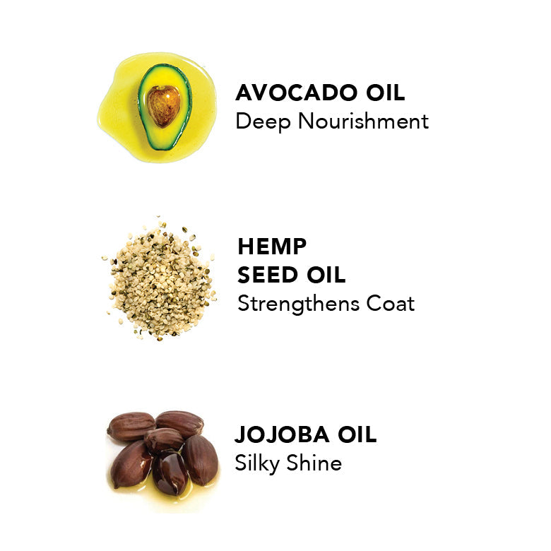 Illustration of avocado, hemp seeds, and jojoba beans with text describing their benefits on a white background.