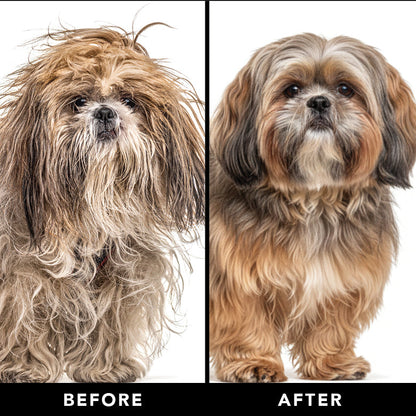 Before and after comparison of a dog with grooming results.