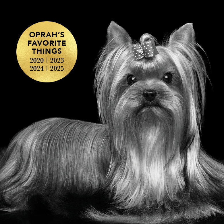 Dog with a bow on its head and 'Oprah's Favorite Things' logo on a black background