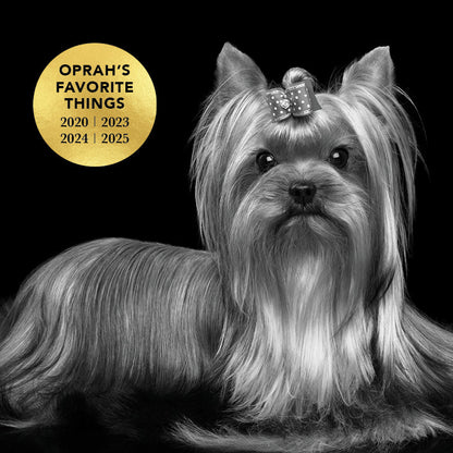 Dog with a bow on its head and 'Oprah's Favorite Things' logo on a black background