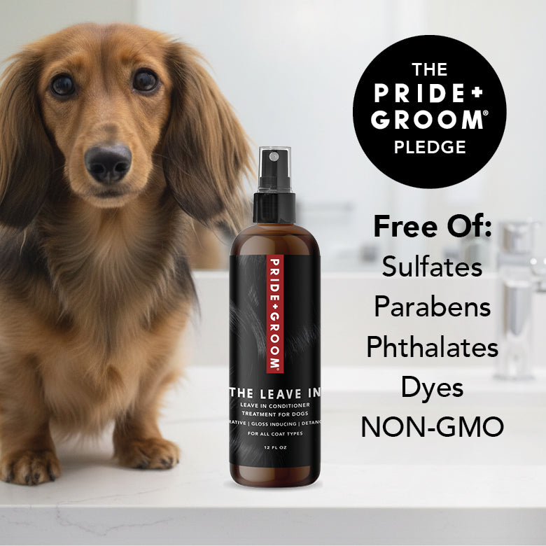 Dog next to a bottle of Pride & Groom leave-in conditioner with product details on a white background.