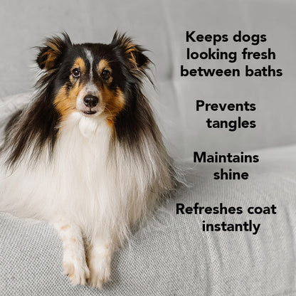 Dog with text about pet care product benefits on a gray background