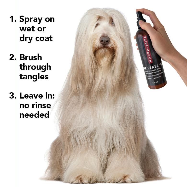 Dog with long coat being groomed using a leave-in product, with text instructions on how to use it.