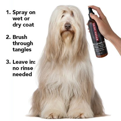 Dog with long coat being groomed using a leave-in product, with text instructions on how to use it.