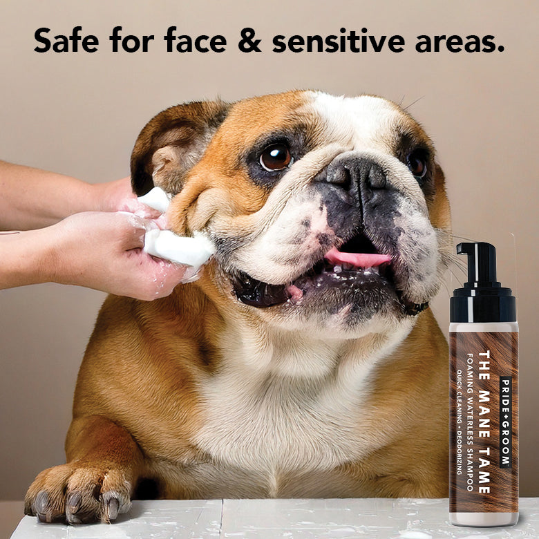 THE MANE TAME waterless foaming dog shampoo bottle