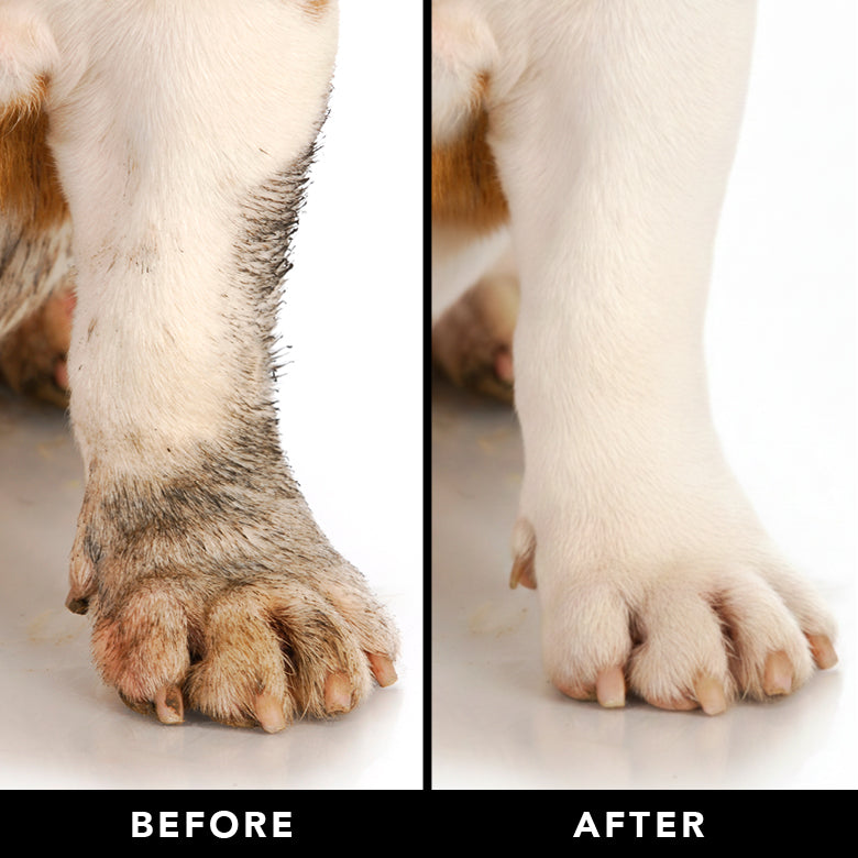 THE MANE TAME foam being applied to a dog coat