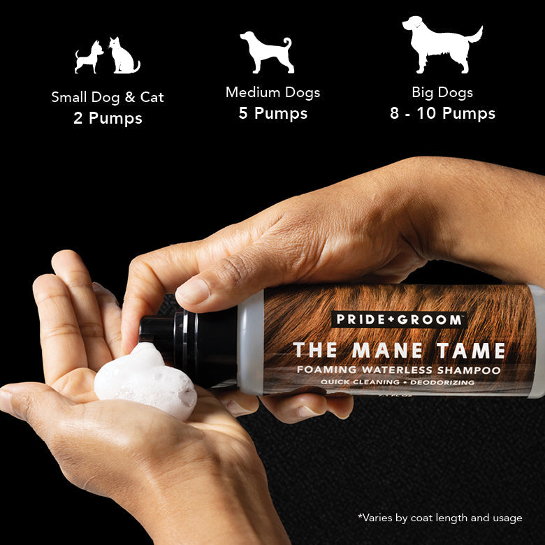 Hand holding a bottle of 'The Mane Tame' shampoo with pump guidance for different dog sizes on a black background.