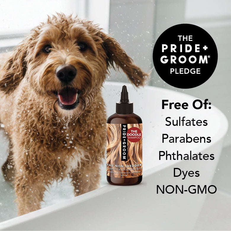 Dog in a bath with a bottle of Pride Groom shampoo, featuring the brand's pledge on a white background.
