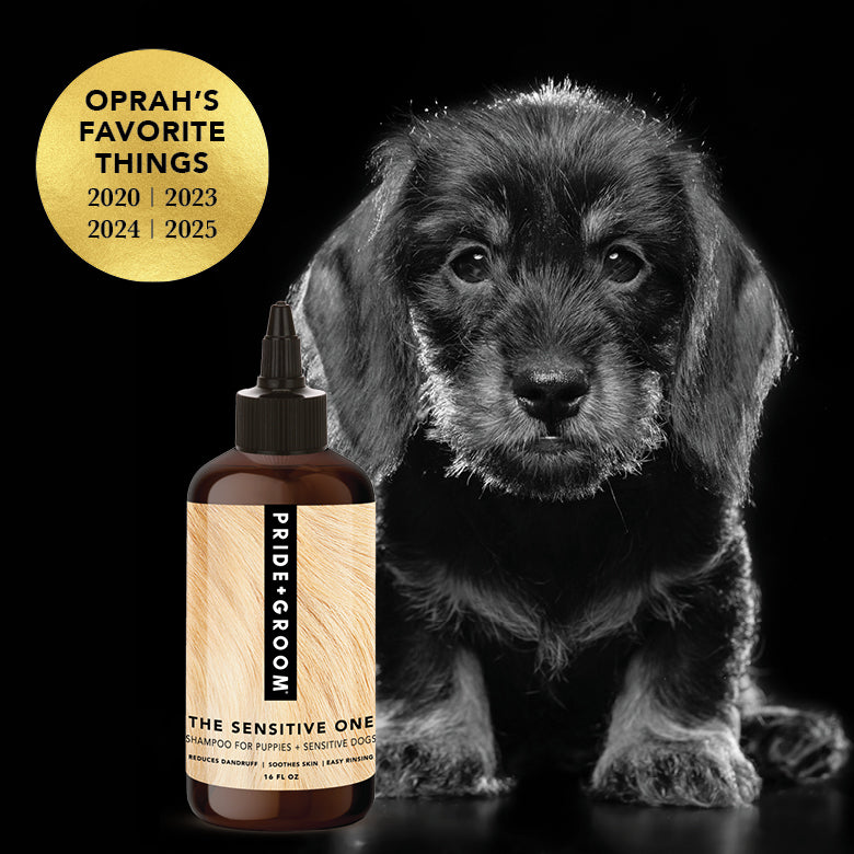 Puppy with a bottle of Pride & Groom shampoo, featuring Oprah's Favorite Things logo.