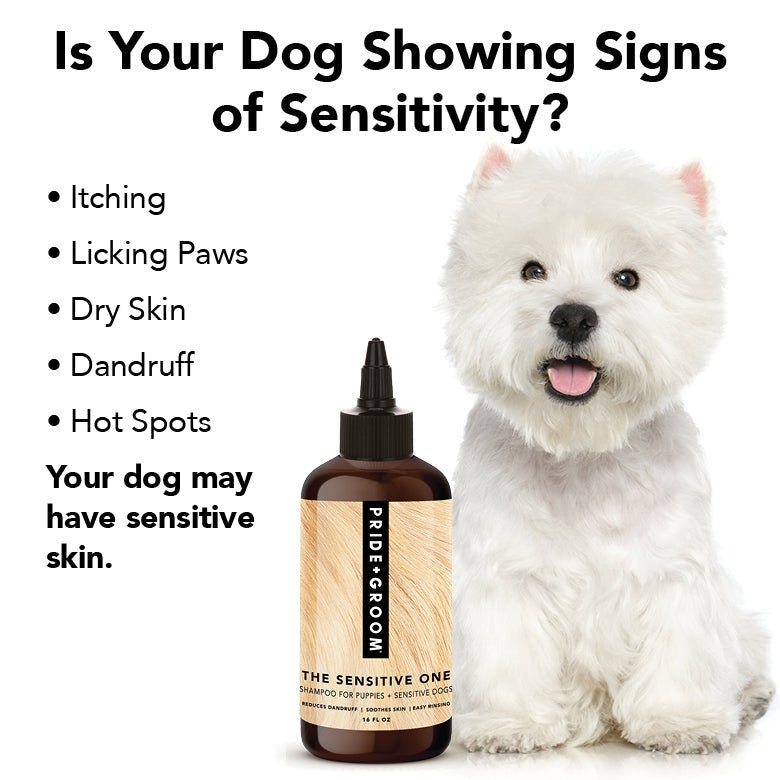White dog with a bottle of Pride & Groom product on a white background, featuring text about dog sensitivity.