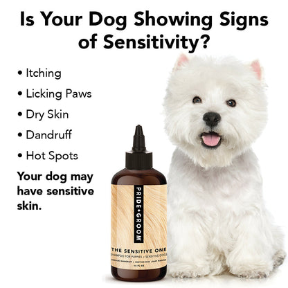 White dog with a bottle of Pride & Groom product on a white background, featuring text about dog sensitivity.