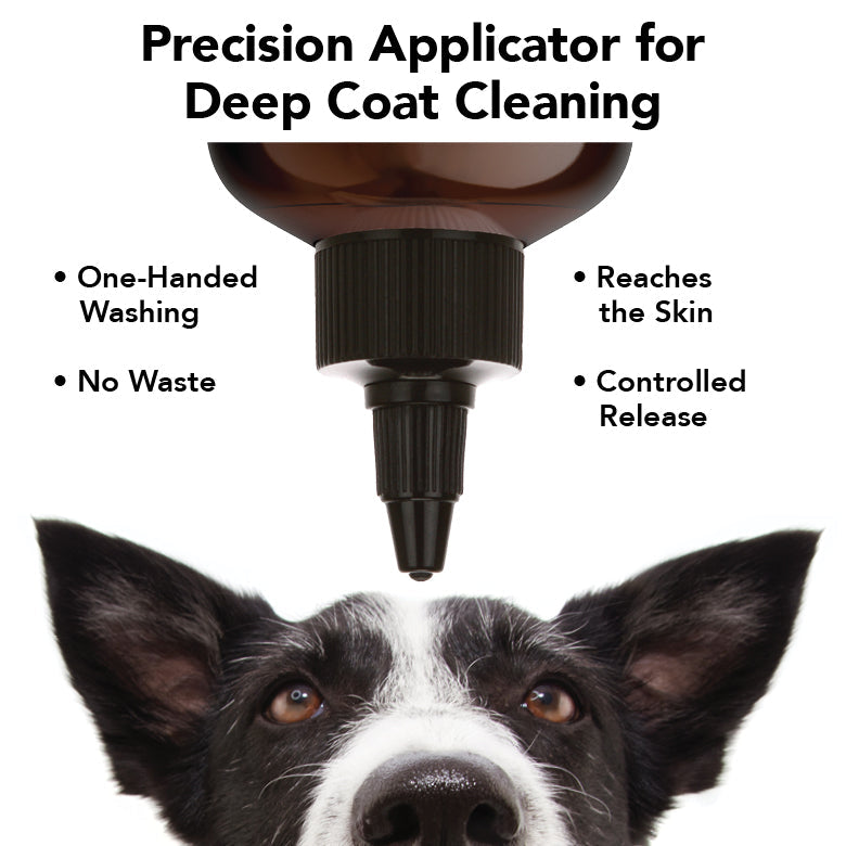 Dog's face with a precision applicator for deep coat cleaning and its benefits listed.