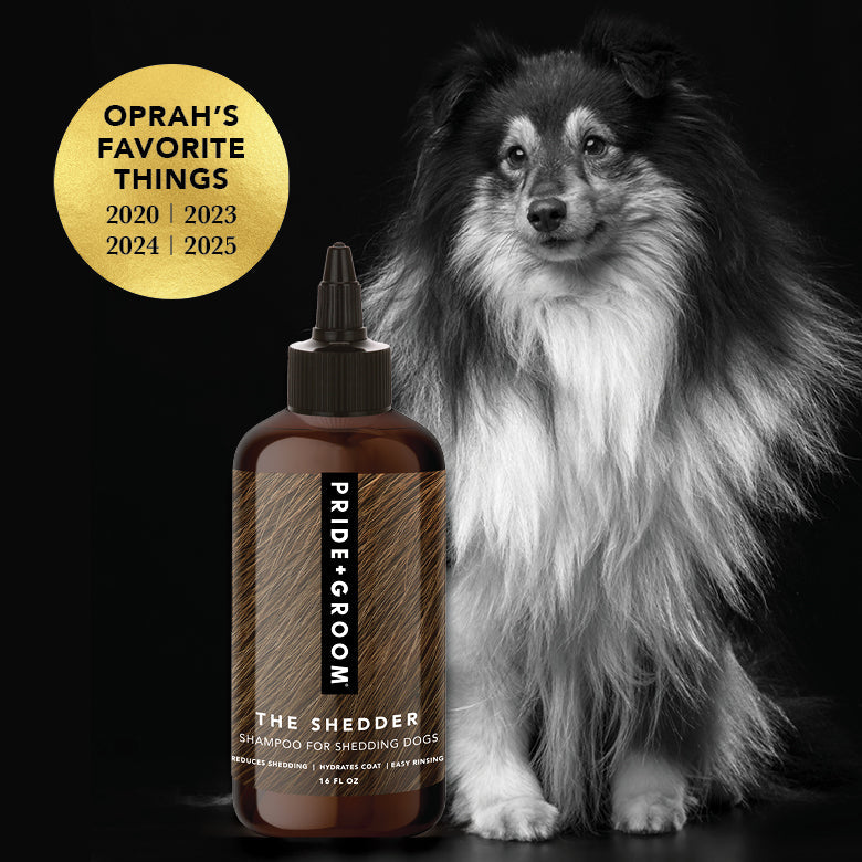 Dog with a bottle of 'Pride & Groom The Shedder' shampoo on a black background, featuring Oprah's Favorite Things logos.