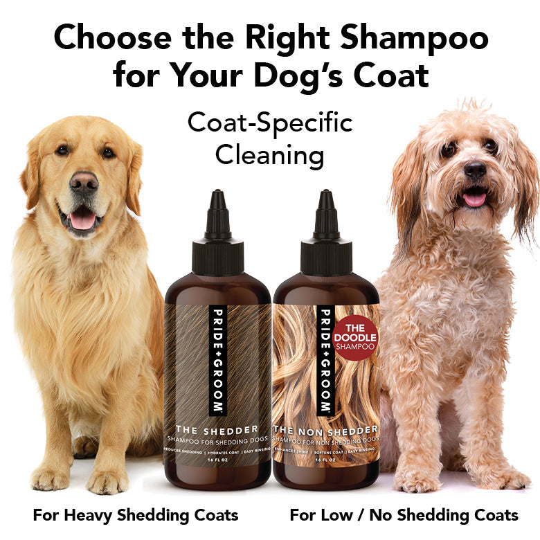 Two dogs with two bottles of PrideGroom dog shampoo on a white background.