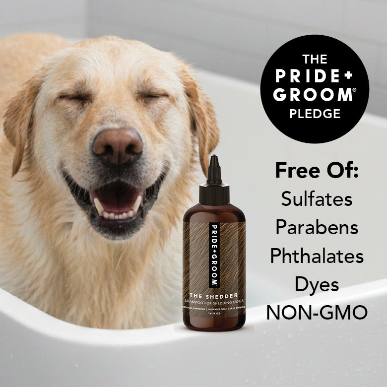 Dog in a bathtub with a bottle of Pride & Groom shampoo, featuring the brand's pledge on a white background.