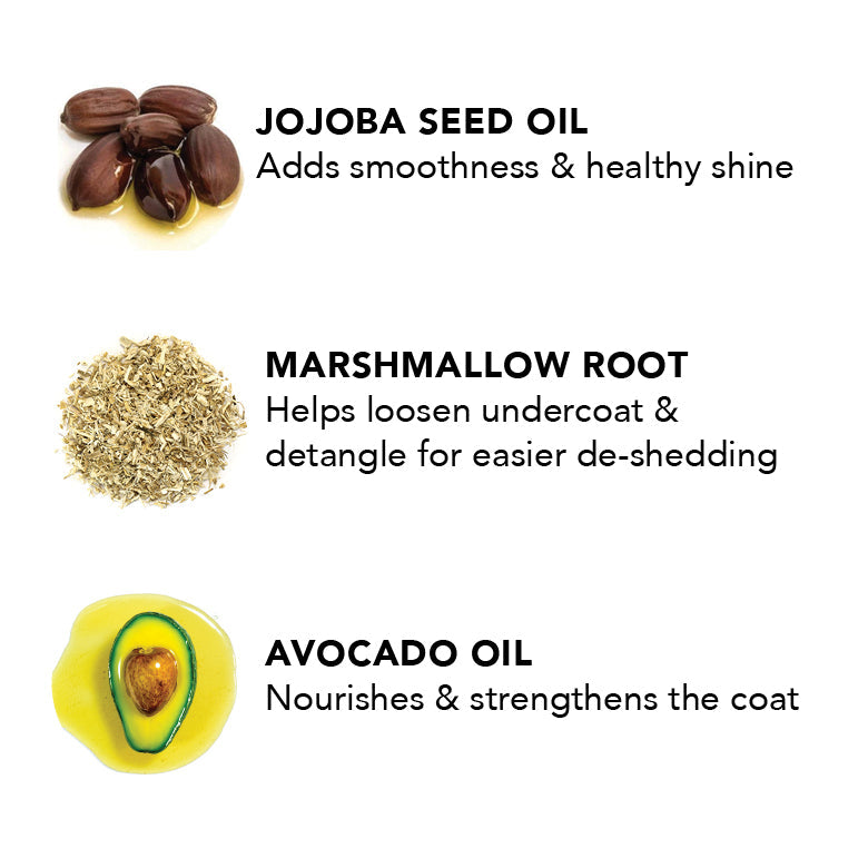 Illustration of jojoba seeds, marshmallow root, and avocado with text describing their benefits.
