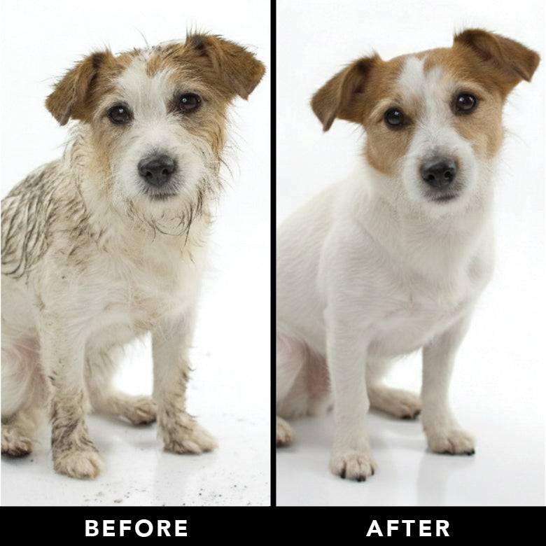 Before and after comparison of a dog with mud on its fur.
