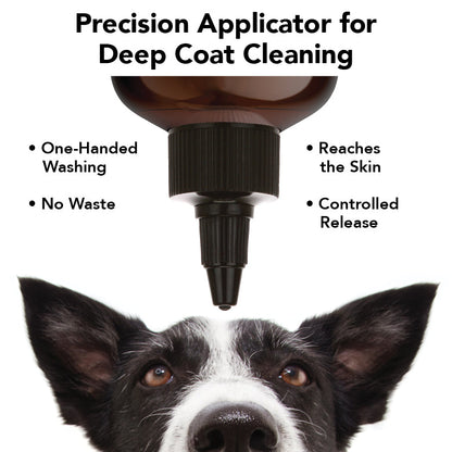 Dog's face with a precision applicator for deep coat cleaning and its benefits listed.