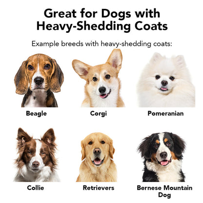 List of dogs with heavy-shedding coats including Beagle, Corgi, Pomeranian, Collie, Retrievers, and Bernese Mountain Dog.
