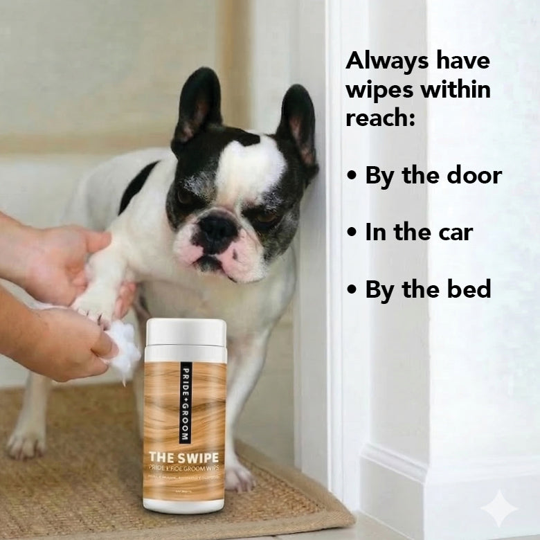 Dog being groomed with a bottle of 'The Swipe' grooming product, with text on having wipes within reach.