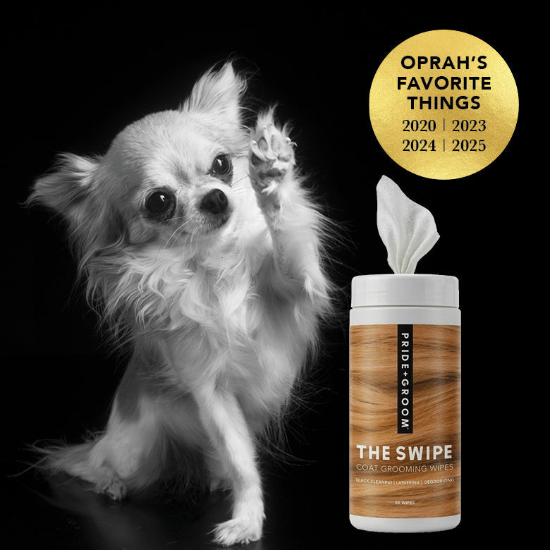 PRIDE+GROOM THE SWIPE Pet Wipes | Dog & Cat Grooming Wipes