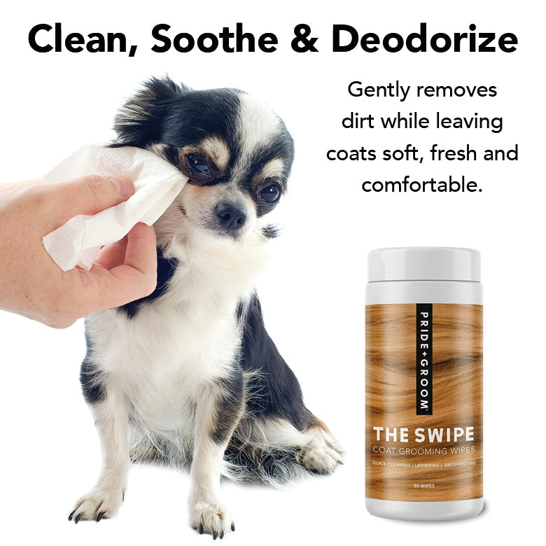 PRIDE+GROOM THE SWIPE Pet Wipes | Dog & Cat Grooming Wipes