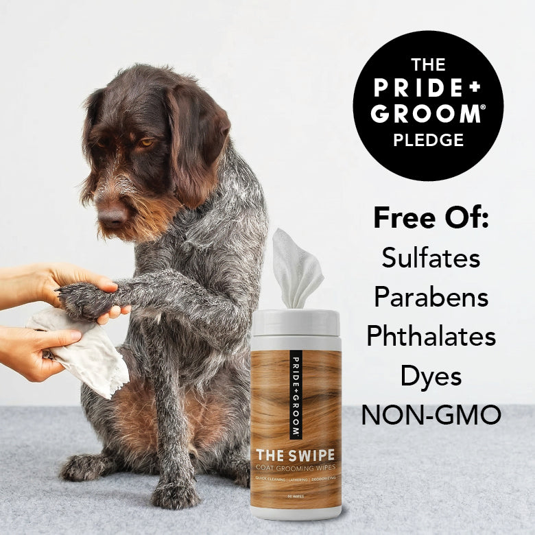 Dog being groomed with Pride & Groom wipes and product container on a light background