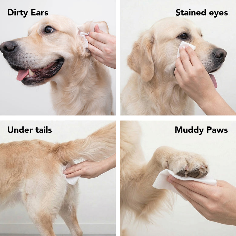 PRIDE+GROOM THE SWIPE Pet Wipes | Dog & Cat Grooming Wipes