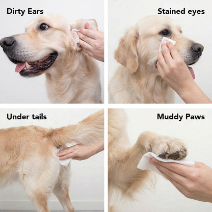 PRIDE+GROOM THE SWIPE Pet Wipes | Dog & Cat Grooming Wipes