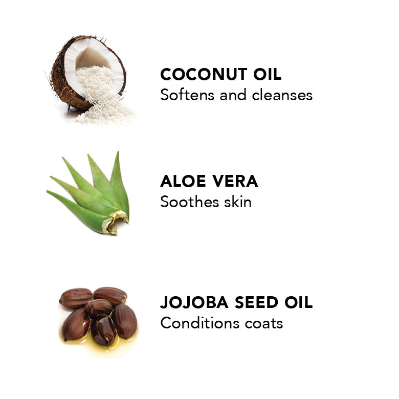 Illustration of coconut oil, aloe vera, and jojoba seed oil with text describing their benefits on a white background.